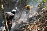 Ejército Nacional controló incendio forestal en Suárez – Tolima